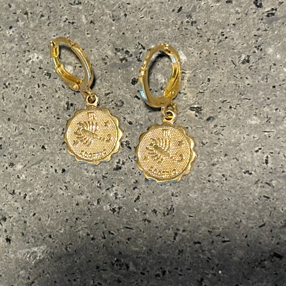 Scorpio zodiac sign huggie coin earrings